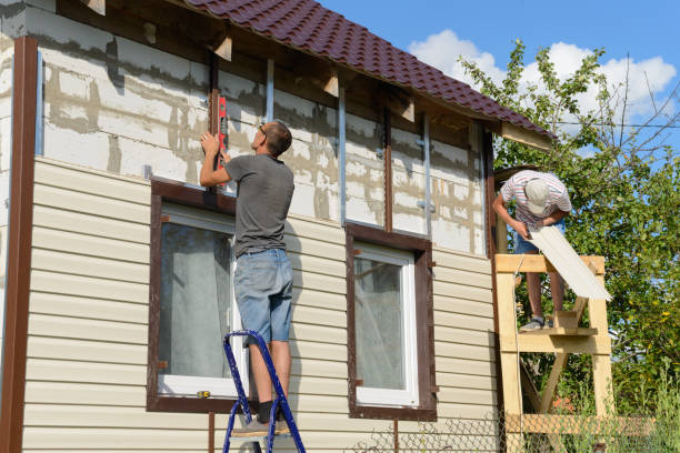 Best Demolition Debris Removal  in Chicago Heights, IL