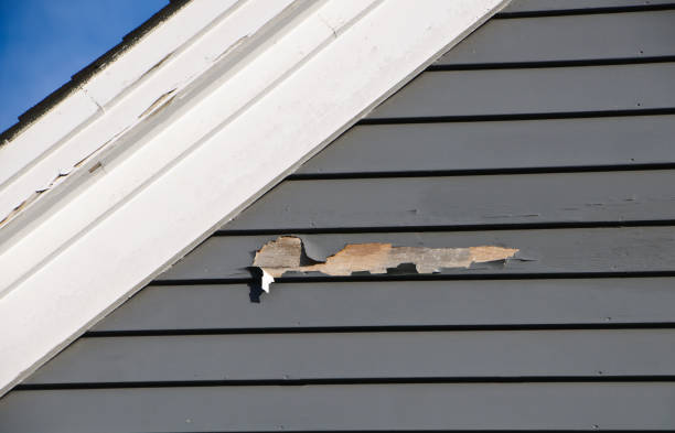 Demolition Debris Removal in Chicago Heights, IL